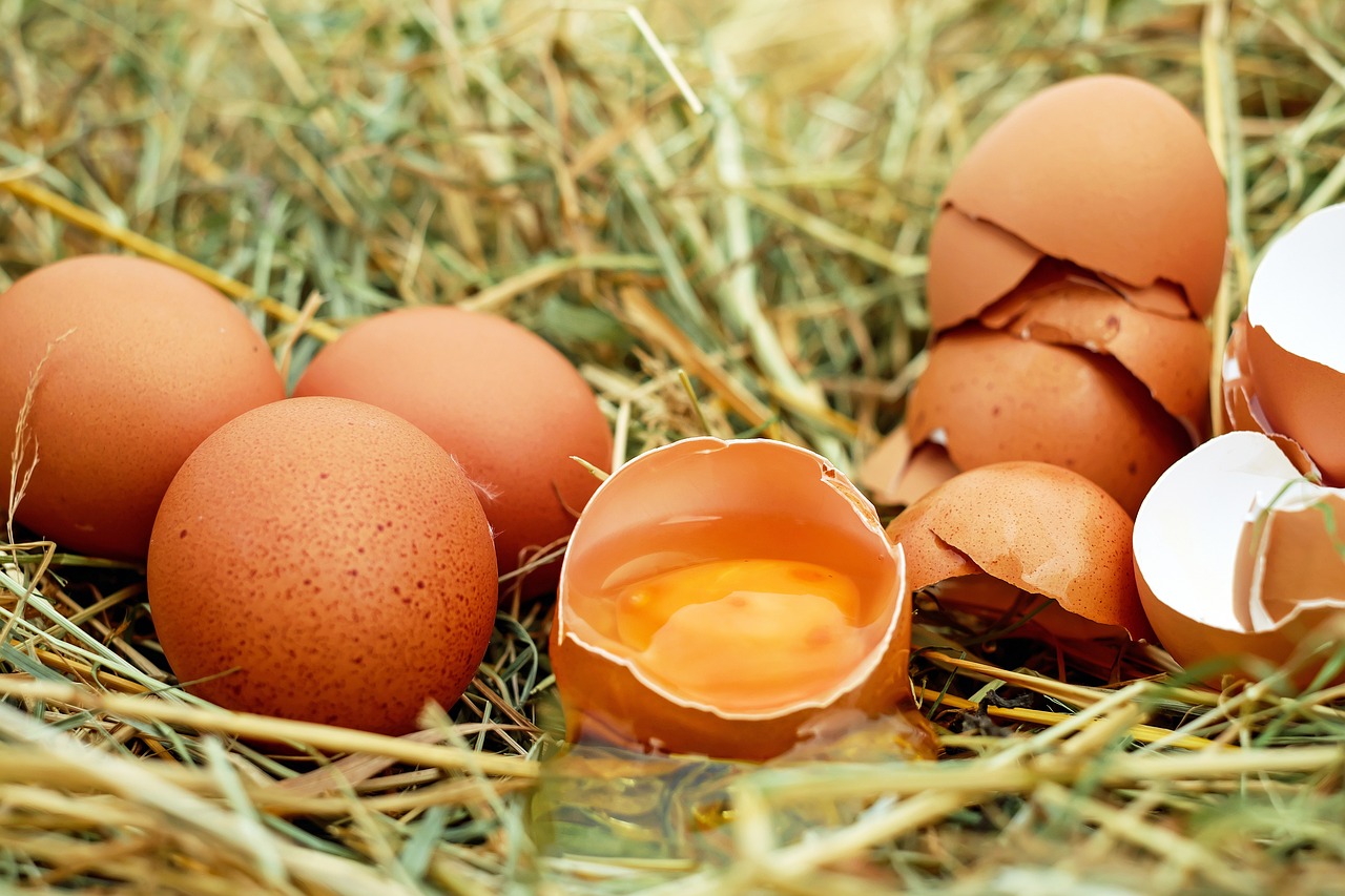¿Qué pasa si un huevo tiene la cáscara arrugada?