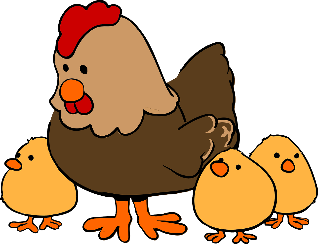 ¿Qué animales se pueden comer a las gallinas?