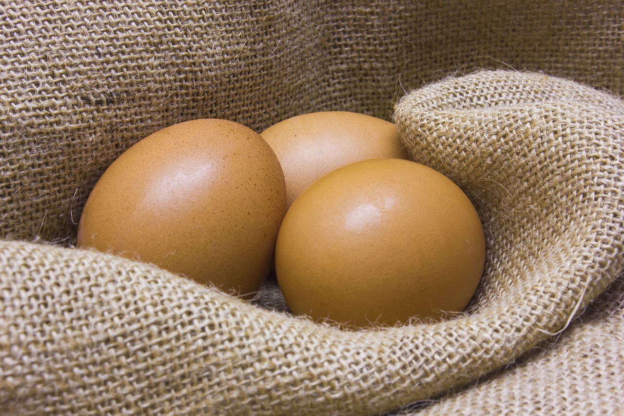 ¿Cómo saber si los huevos son fértiles?