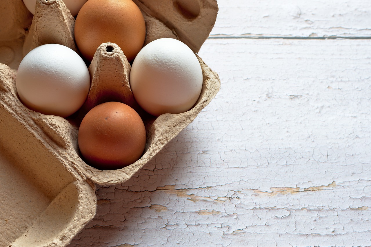 ¿Qué pasa cuando una gallina deja de poner huevos?