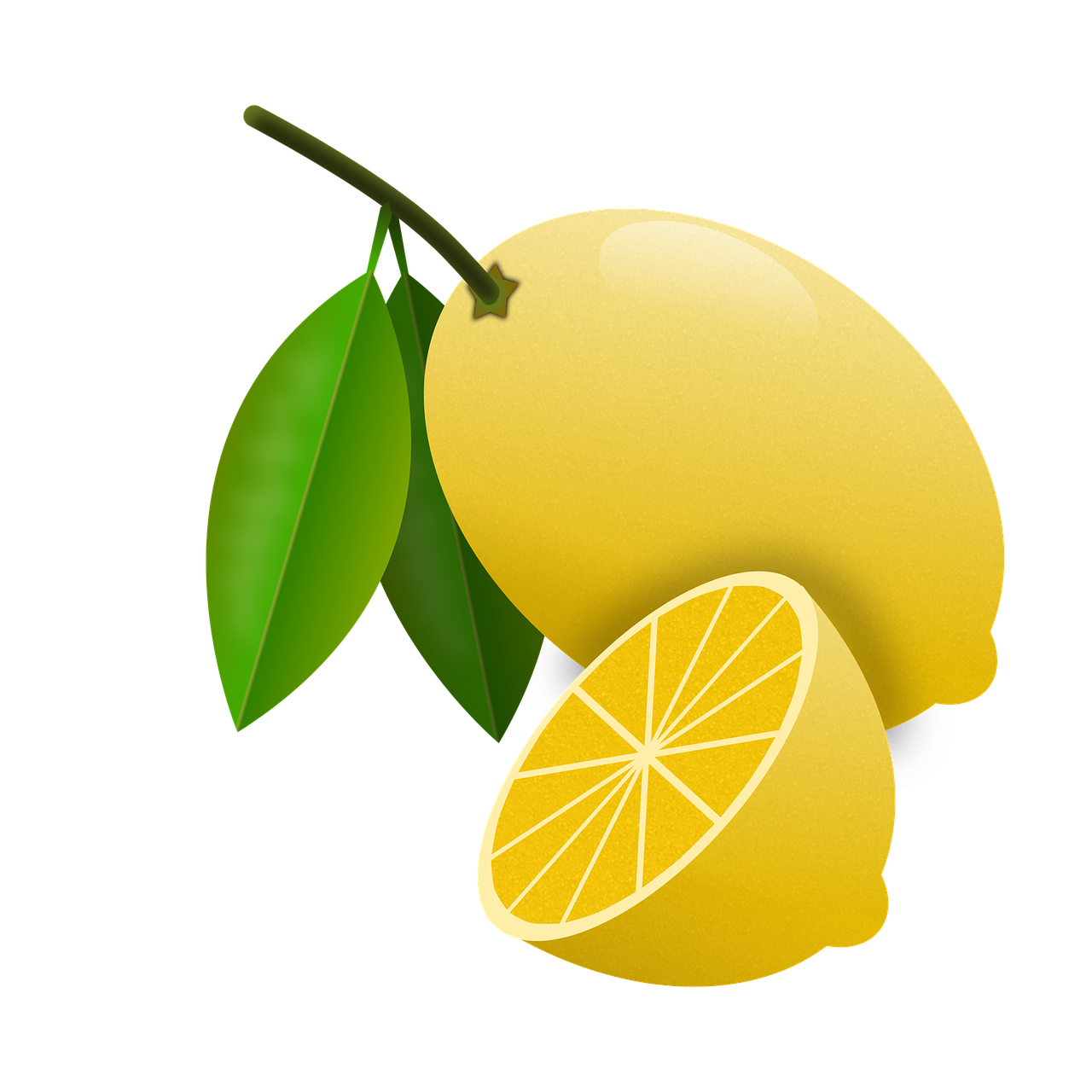 ¿Cuál es el mejor momento para plantar un limonero?