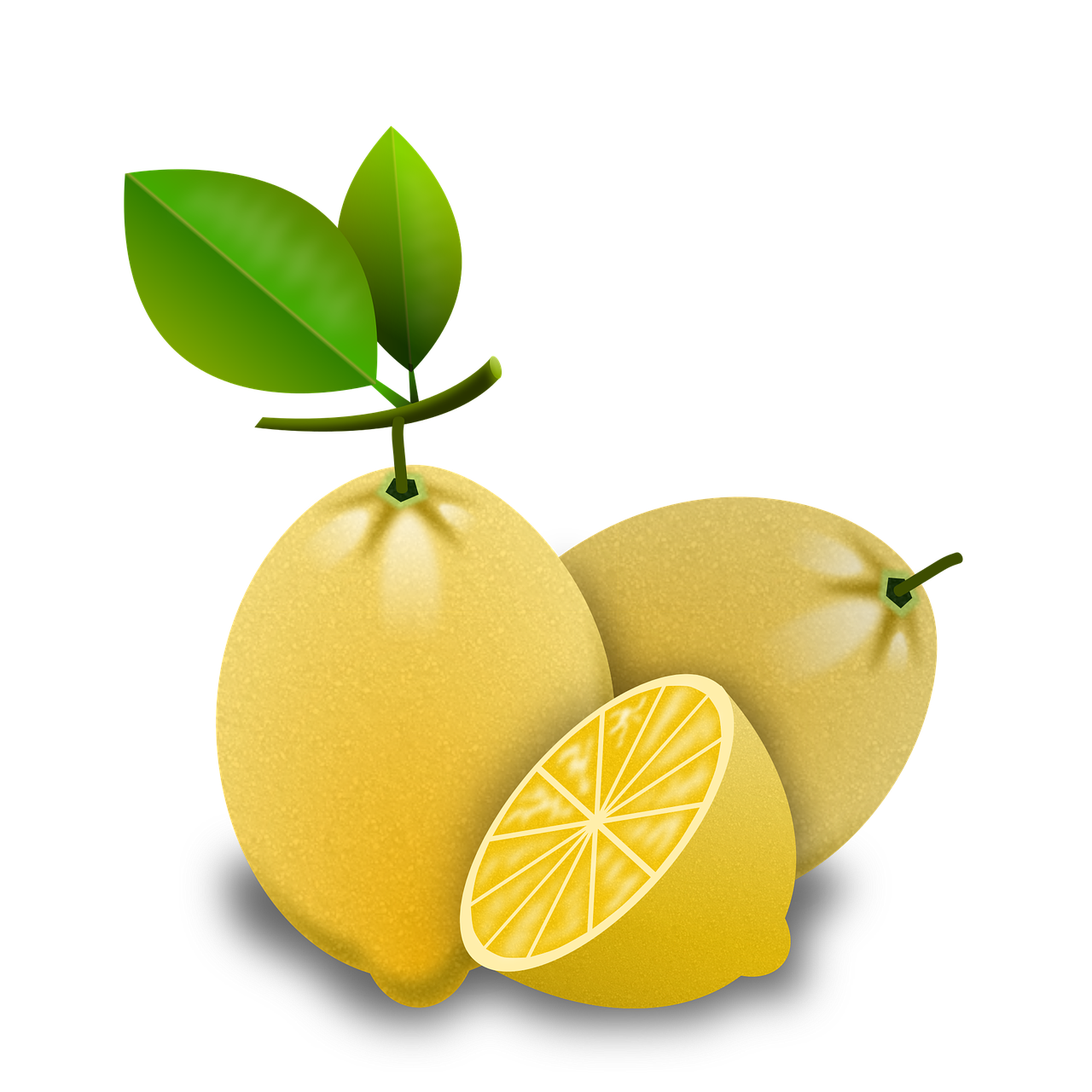 ¿Cuánto crece un limonero enano?