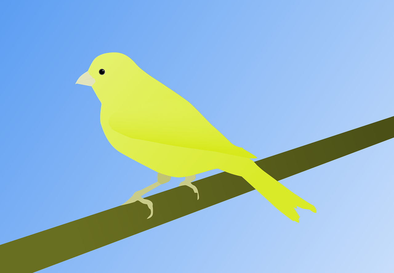 ¿Cuánto valen los pájaros canarios?