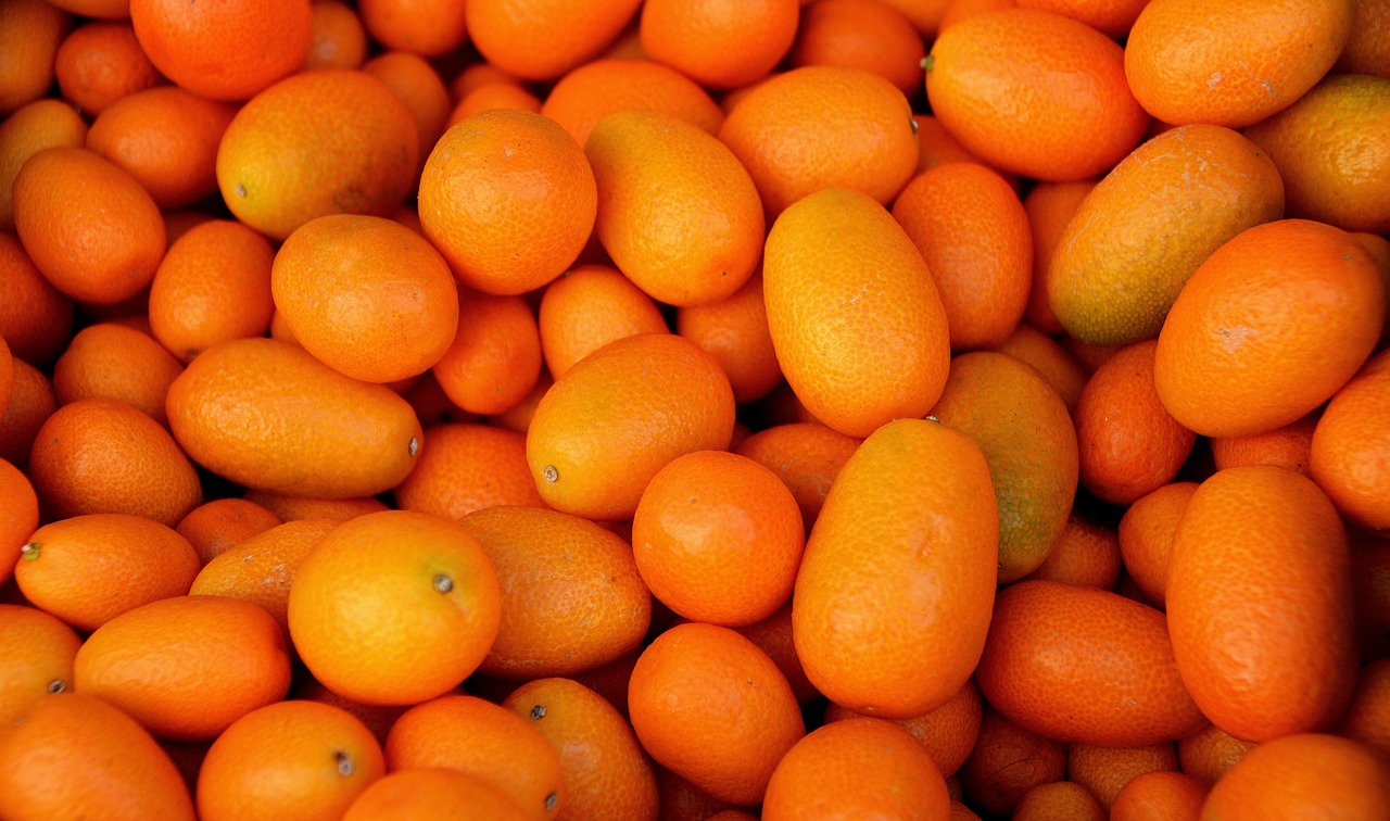 ¿Cuándo es temporada de kumquat?