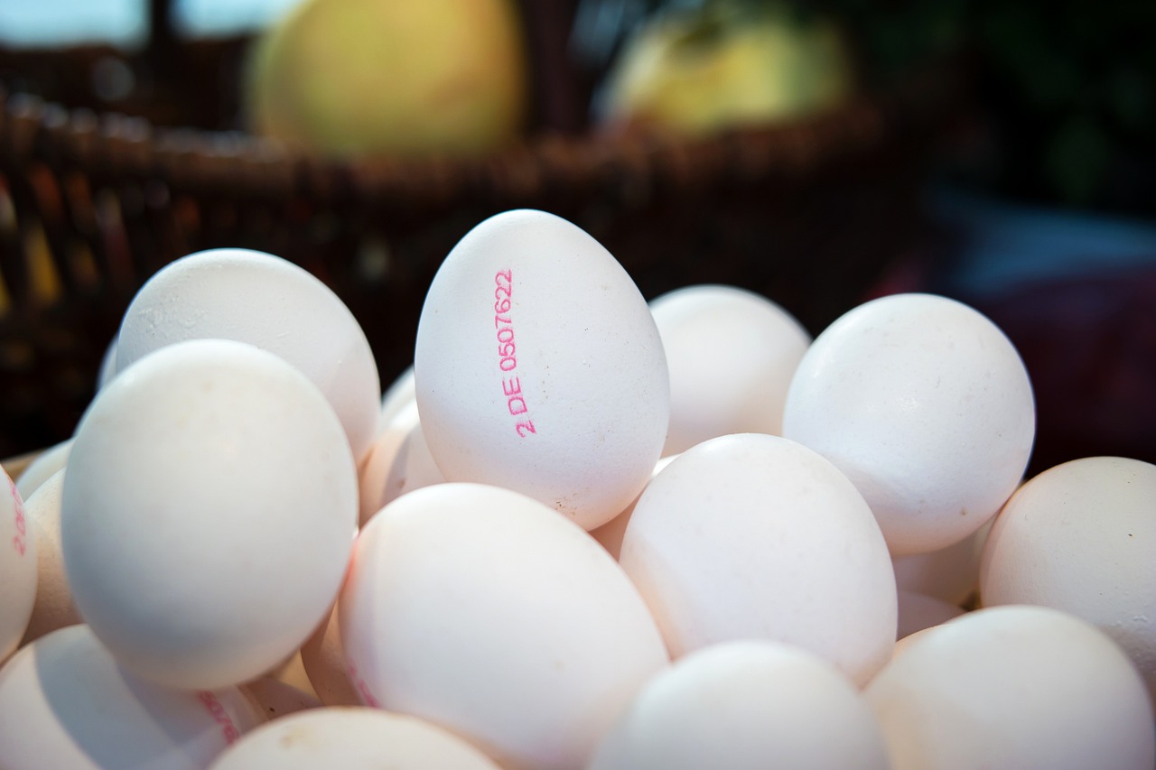 ¿Cuánto tiempo se puede guardar un huevo fértil?