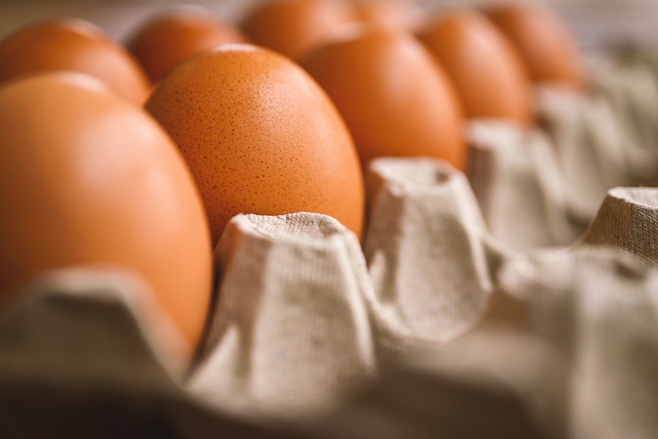 ¿Qué se le puede dar a las gallinas para que pongan más huevos?