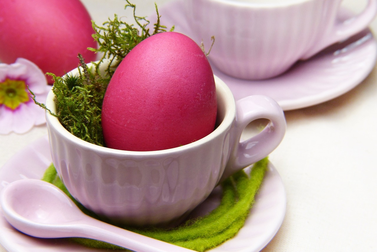 ¿Cómo conservar los huevos fértiles?