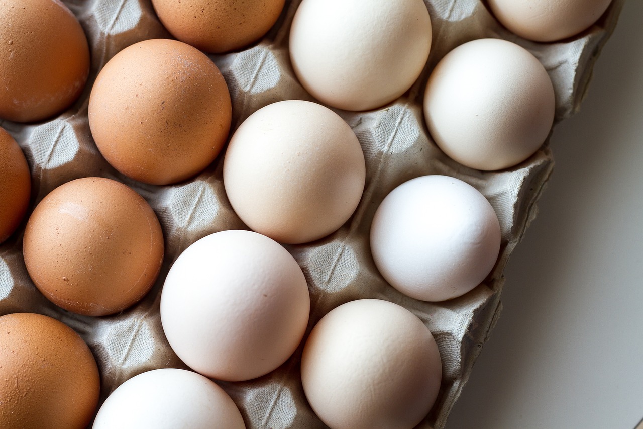 ¿Cuántos tipos de huevo de gallina hay?