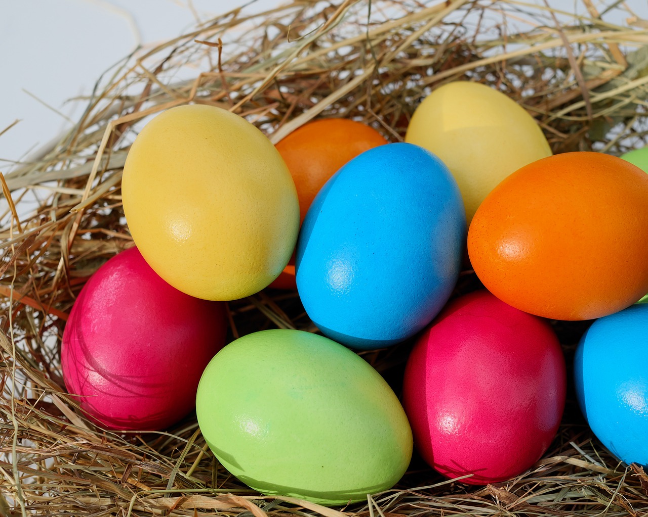 ¿Qué color son los huevos de los patos?