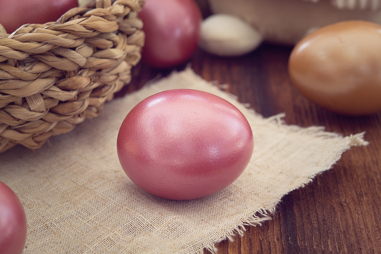 ¿Qué pasa si se incuba un huevo de dos yemas?