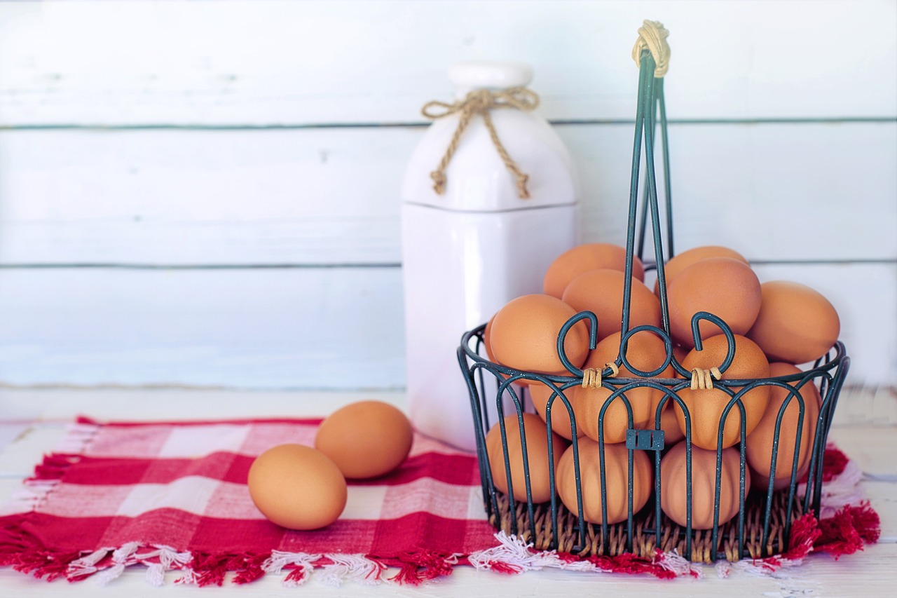 ¿Cómo hacer para que pongan huevos las codornices?