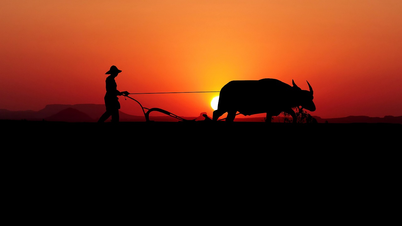 ¿Cómo se llaman las máquinas para arar la tierra?