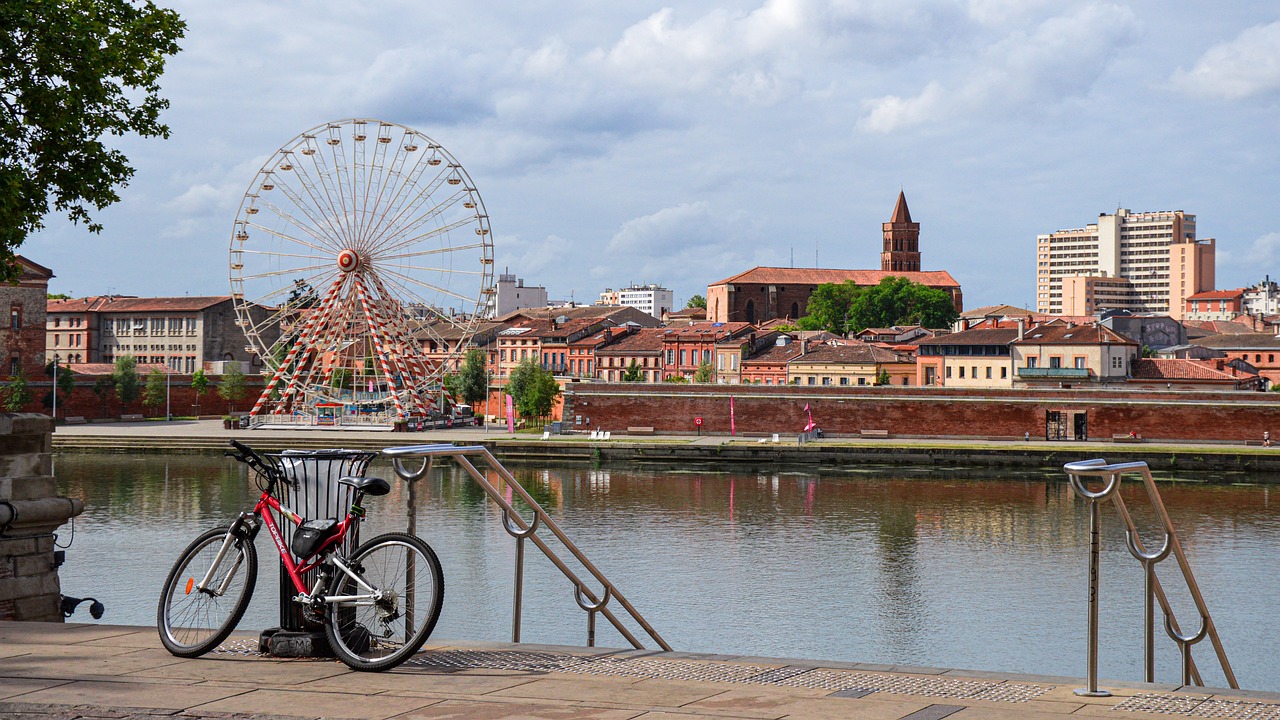 ¿Cuándo ponen las ocas de Toulouse?