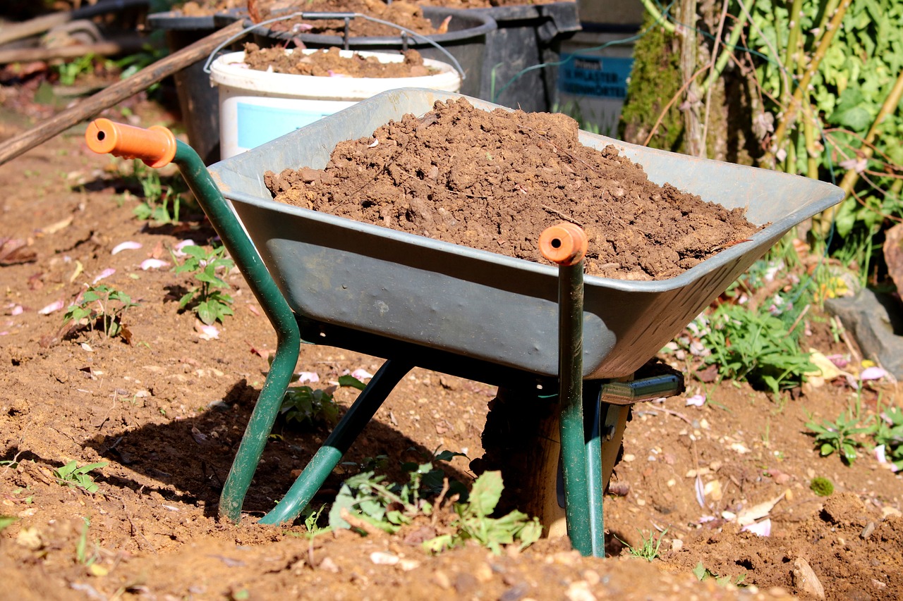 ¿Cómo se llama la planta que ahuyenta los topos?