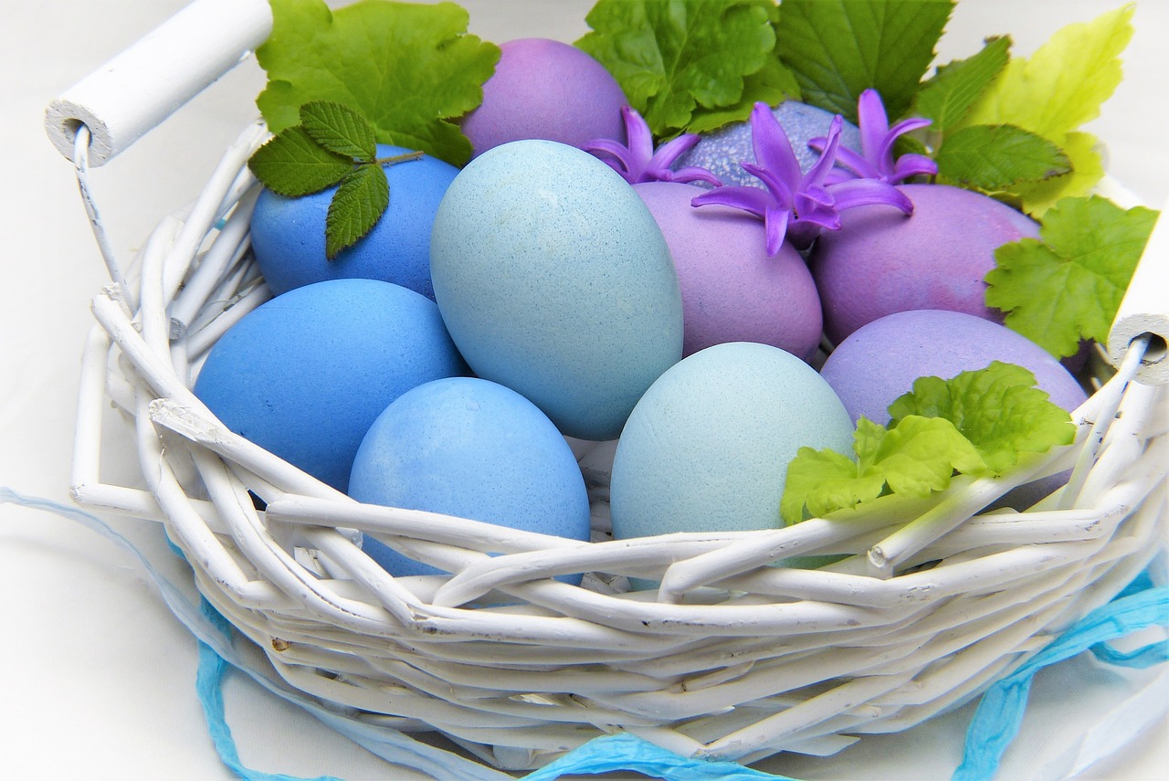 ¿Qué diferencia hay entre huevos camperos y huevos ecológicos?