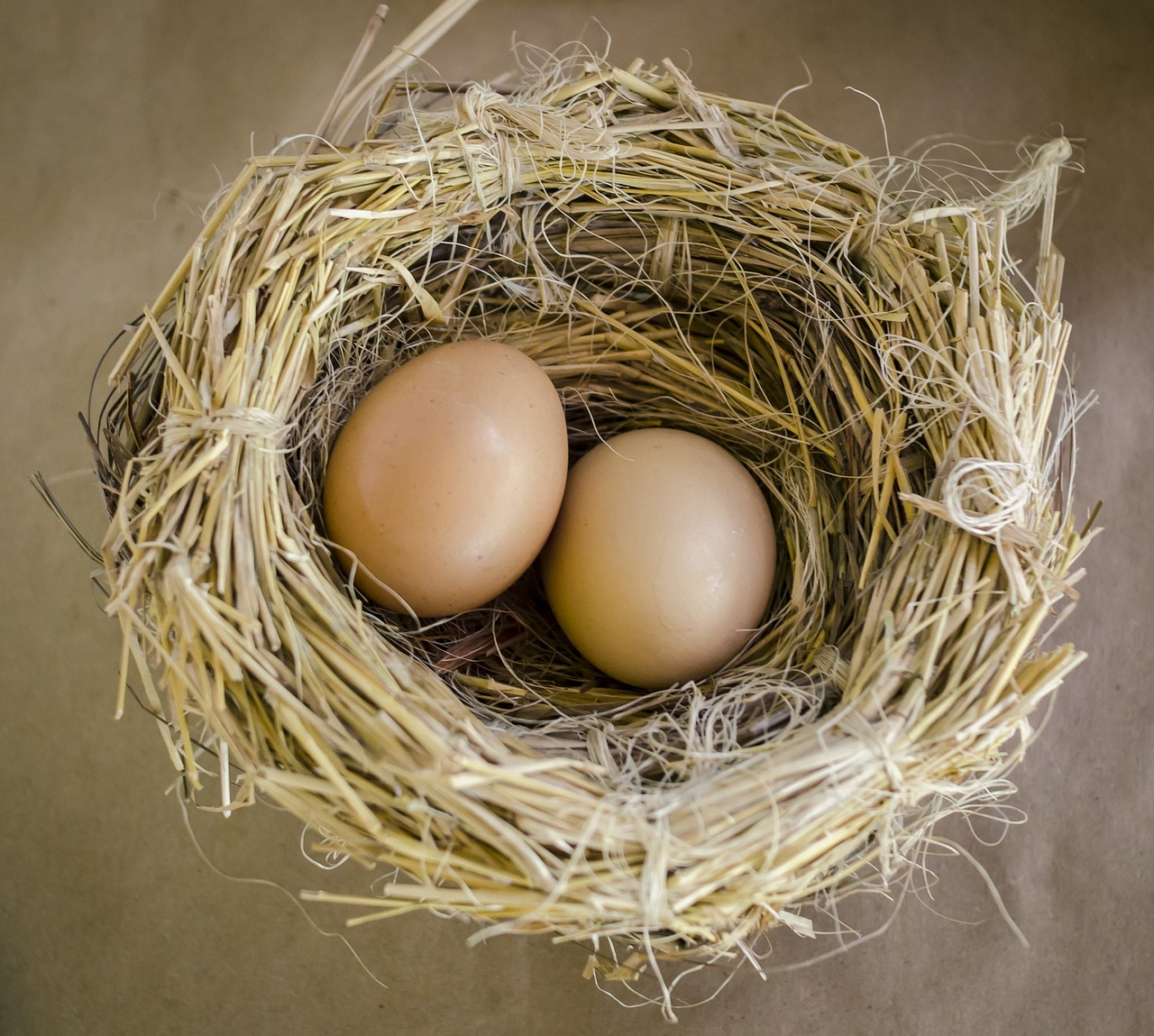 ¿Qué temperatura debe tener una incubadora para huevos de pato?