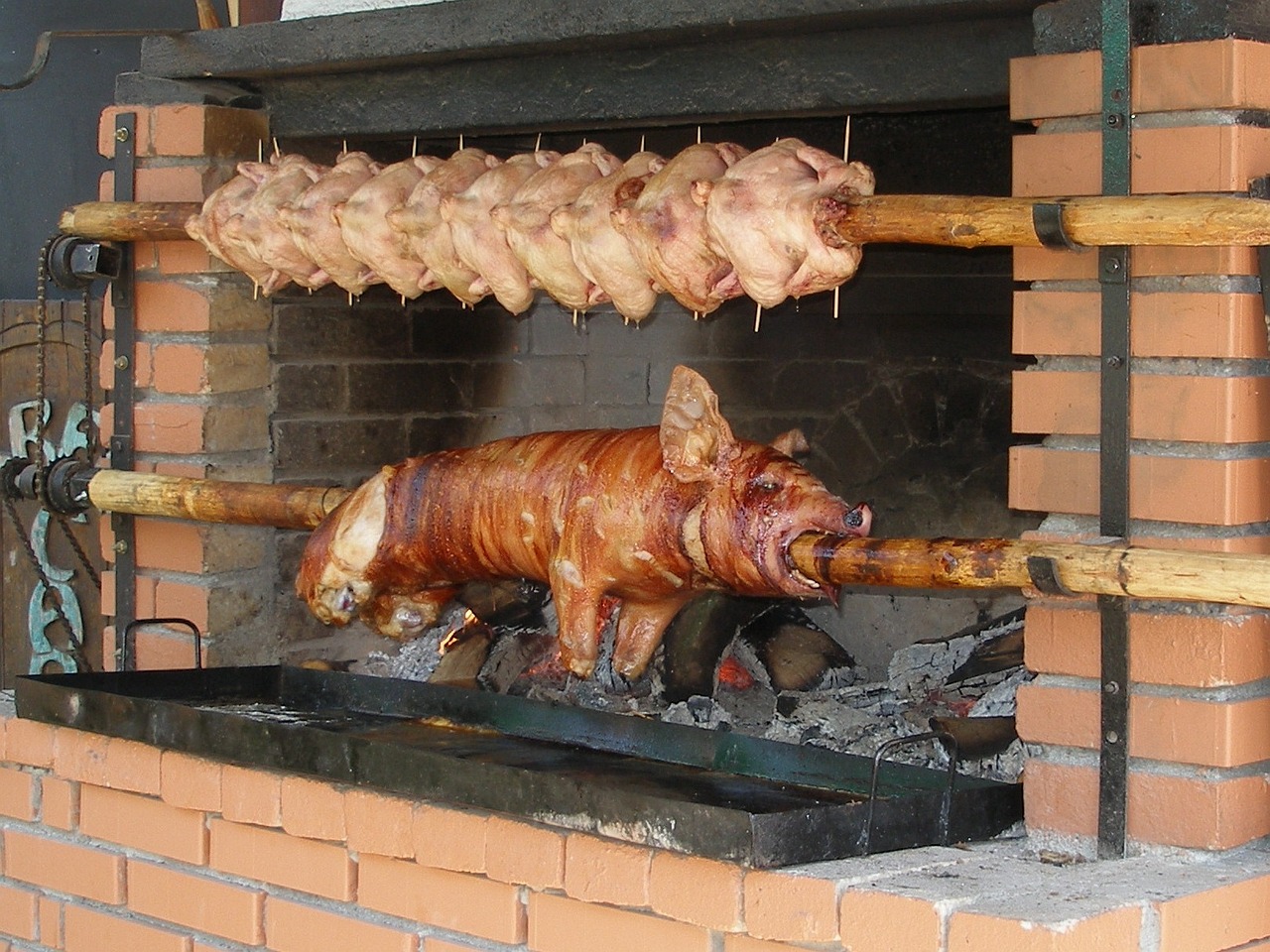 ¿Cómo acabar con la cochinilla?