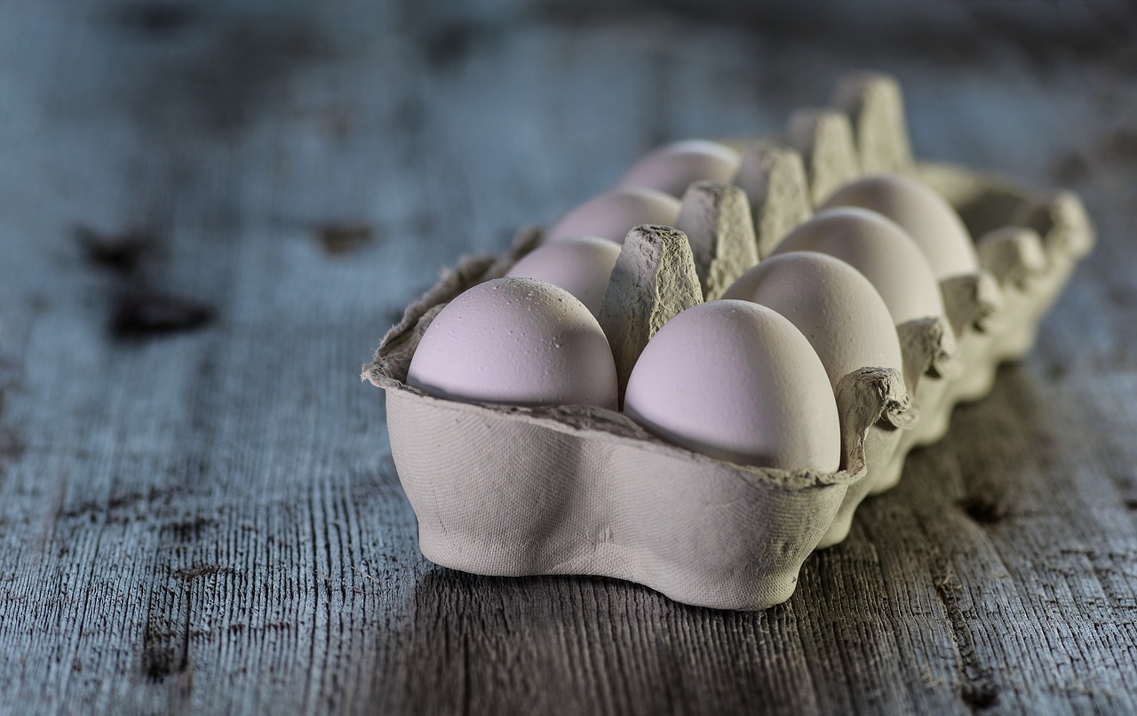 ¿Cuántos huevos pone una pita pinta al año?