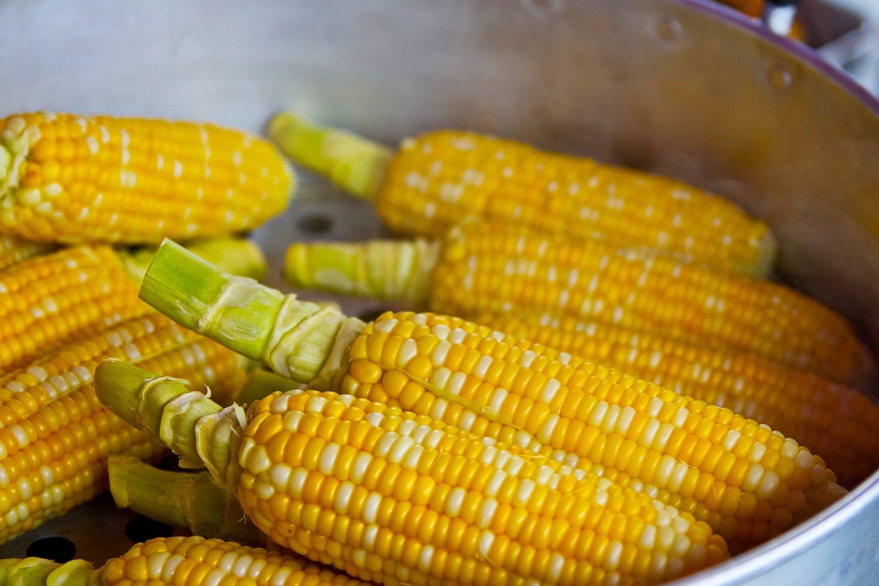 ¿Qué hacer si las palomitas que no explotan?