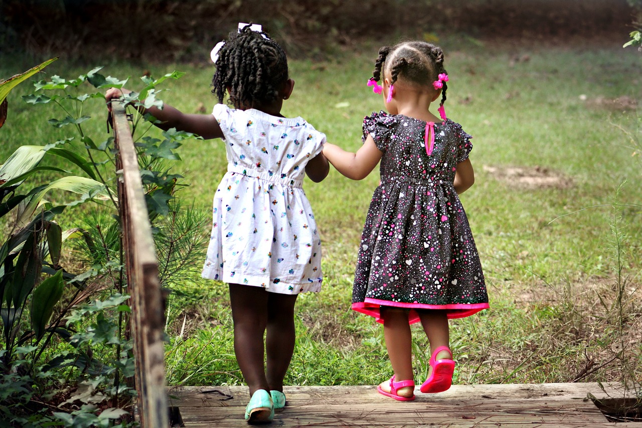 ¿Qué es el ganso para niños?