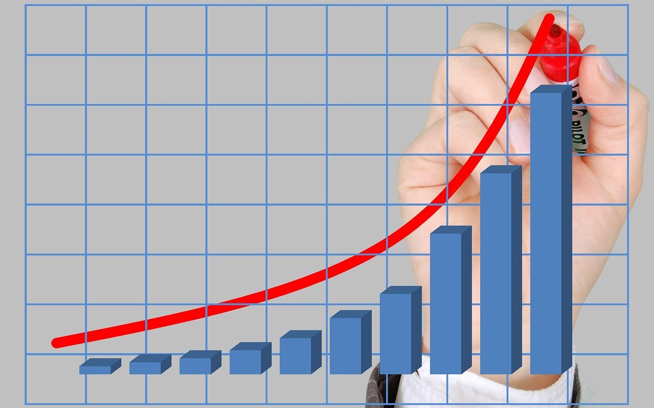 ¿Qué tan rentable es el negocio de pollos?