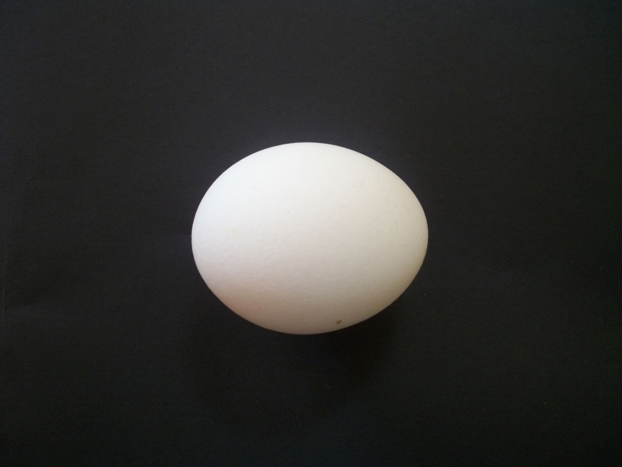 ¿Qué huevos ponen las gallinas negras?
