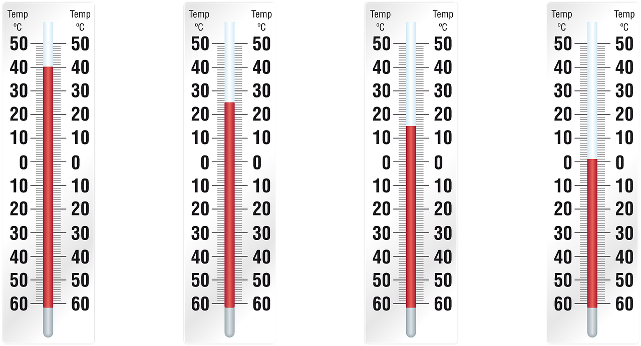 ¿Qué temperatura minima soportan las gallinas?