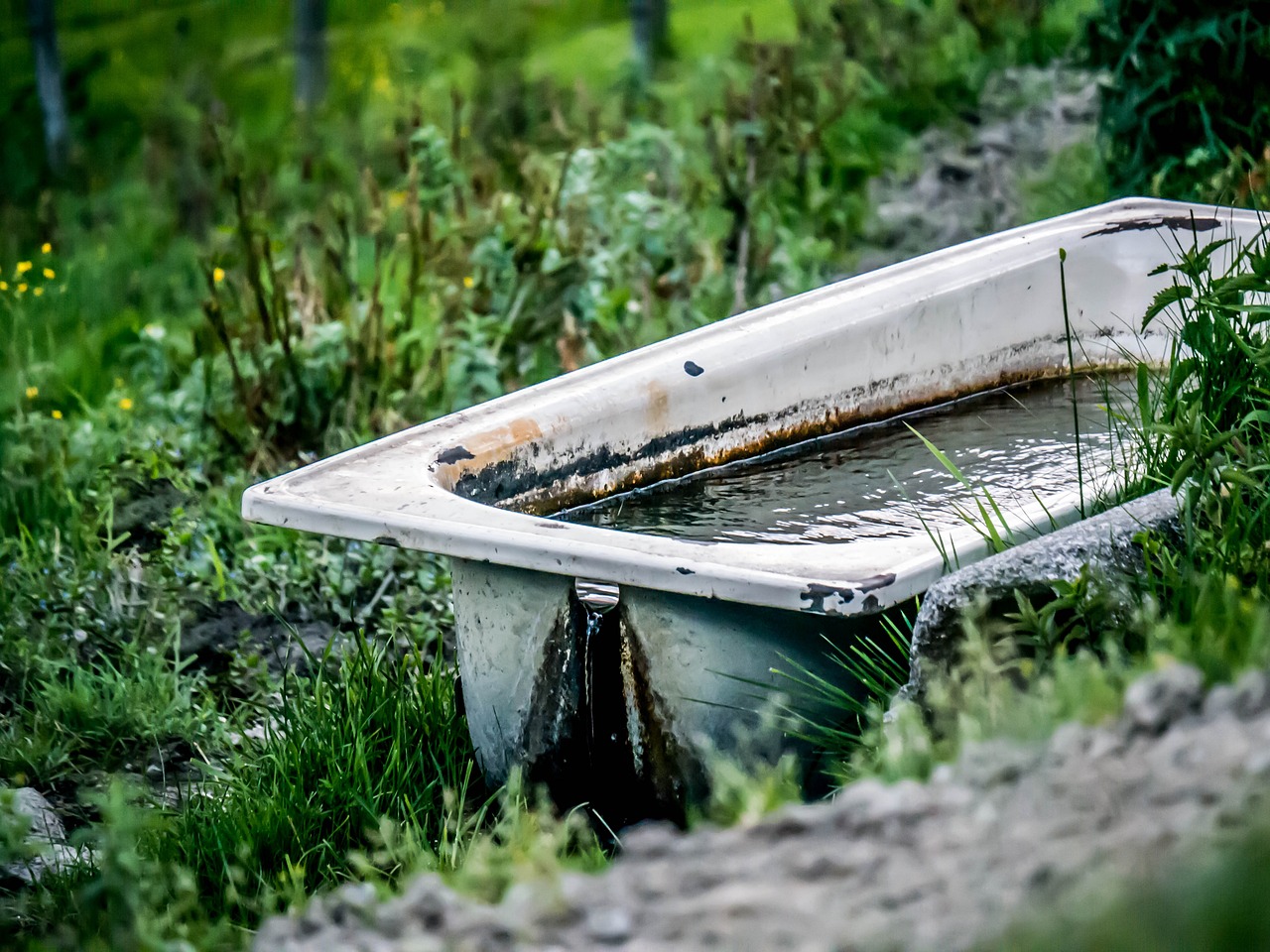 ¿Qué es un bebedero de agua?