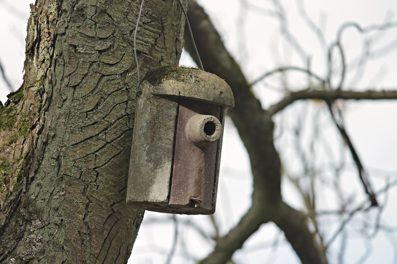 ¿Cómo funciona una incubadora de aves?