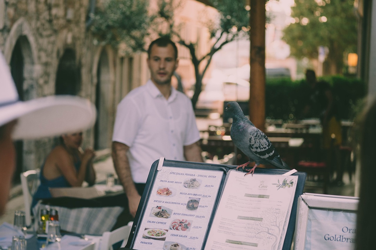 ¿Qué palomas se pueden comer?