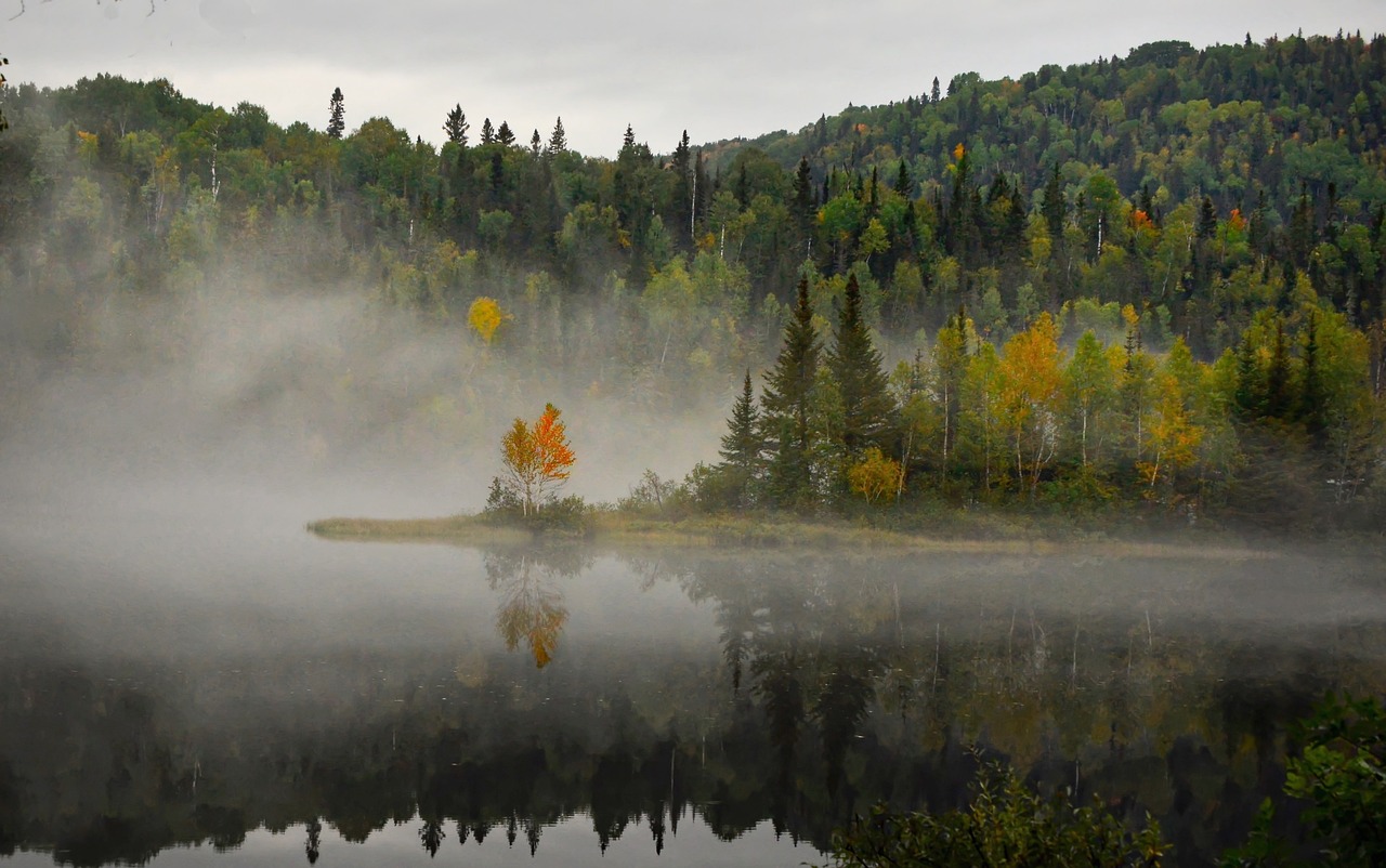 ¿Cuál es el ave nacional de Canadá?