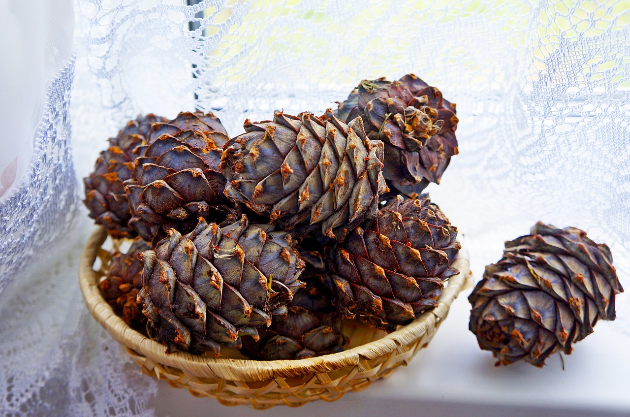 ¿Cuánto más caro es el cedro?