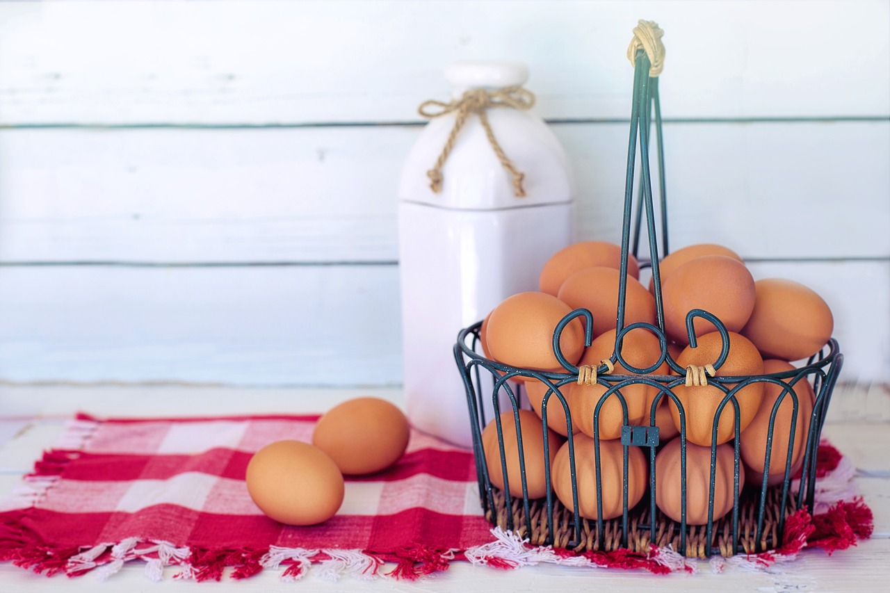 ¿Cuánto tiempo tardan las codornices en poner huevos?