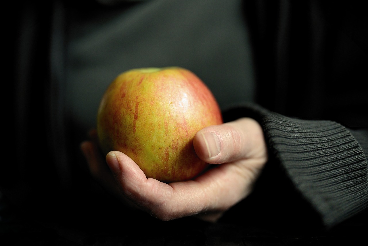 ¿Cómo dar vitamina Aa los pájaros?