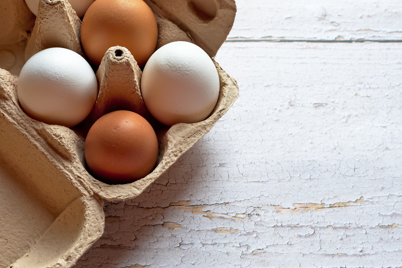 ¿Cómo se llama el lugar donde las gallinas ponen los huevos?