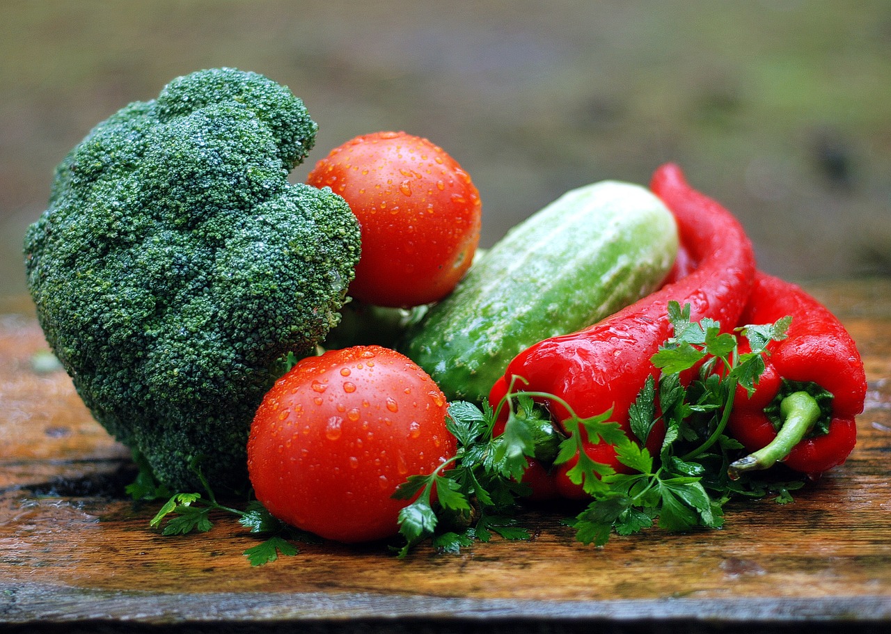 ¿Qué plantas pueden comer las aves?