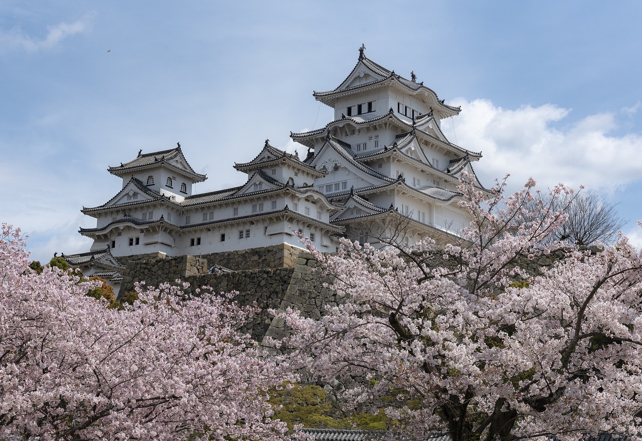 ¿Cuáles son los árboles de Japón?