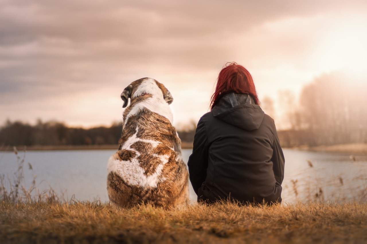 ¿Qué hacer si mi perro tiene las patas resecas?