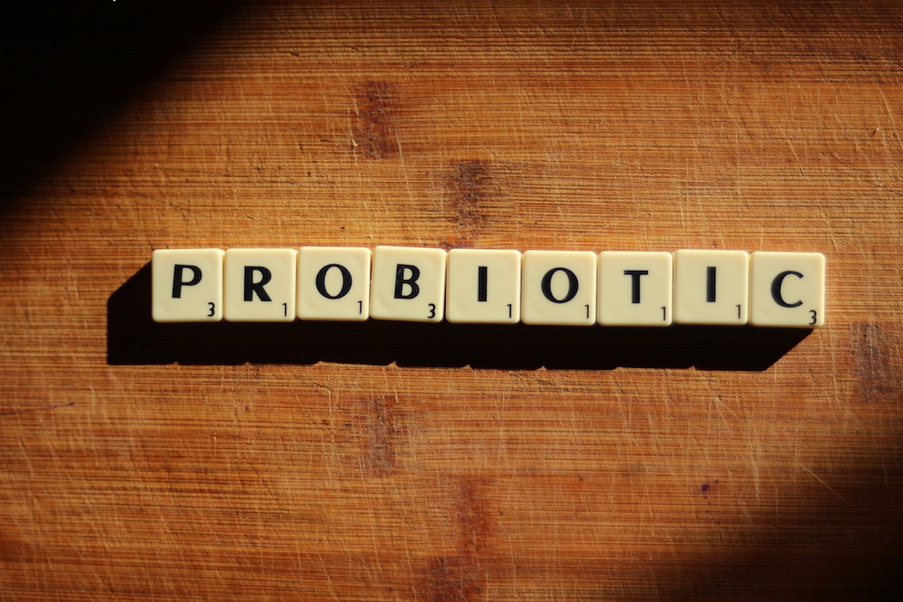 ¿Qué son los probióticos en polvo?
